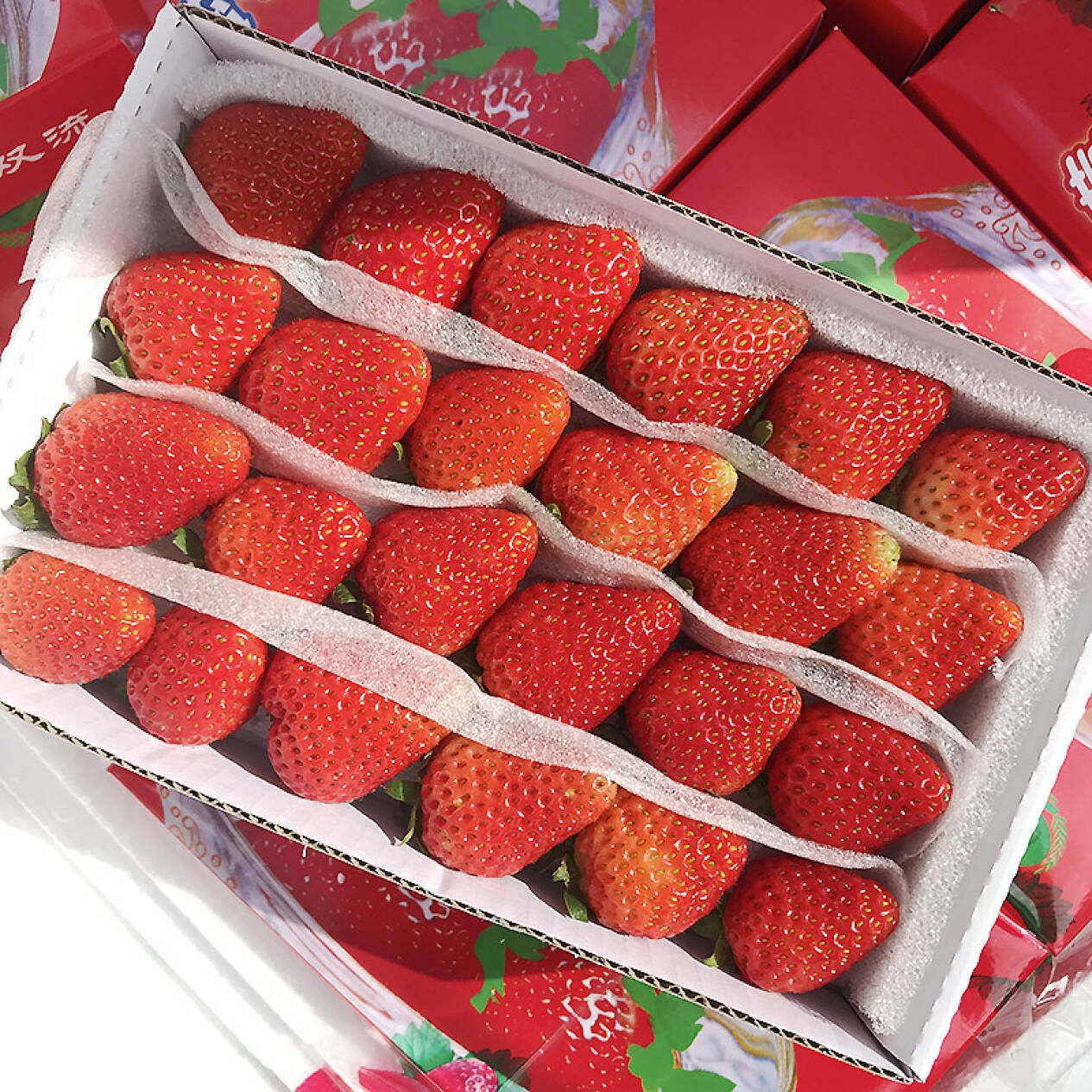 草莓新鲜一盒盒装四季烘培奶茶蛋糕双流夏季草莓