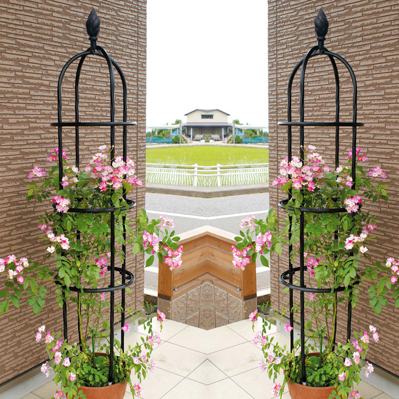 加粗月季爬藤藤架花园庭院户外阳台花架园艺花架