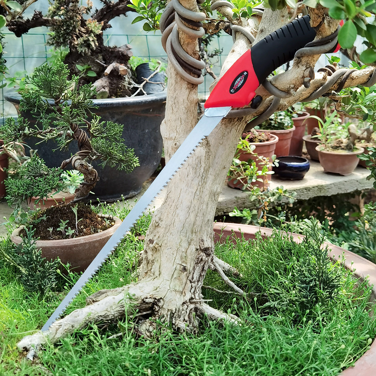 去店铺鼎木盆景工具卖家已经将该商品已下架或删除,去看看其他商品吧