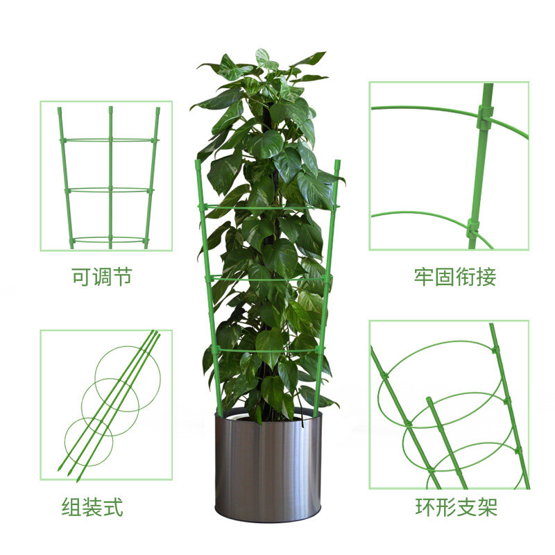 植物护叶架绿萝简易固定支架爬藤藤架伸缩花园其它园艺用品