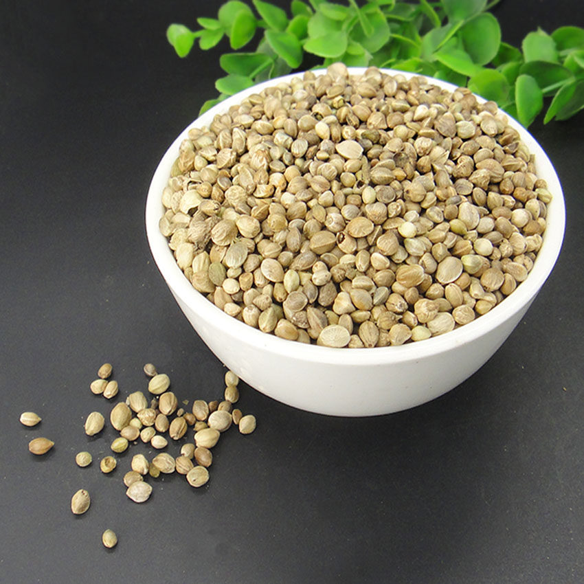 【迎辉堂】中药材火麻仁 正品麻子仁 火麻子 火麻籽袋装500克g