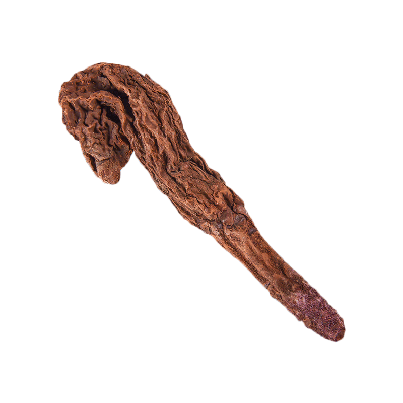 中药材锁阳500g锁阳片滋补野生特级肉苁蓉淫羊藿男其他药食同源食品