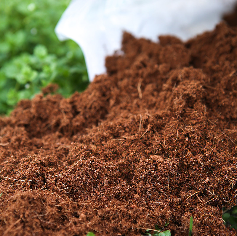 进口精品椰糠发泡无菌低盐椰丝园艺花卉多肉蔬菜介质