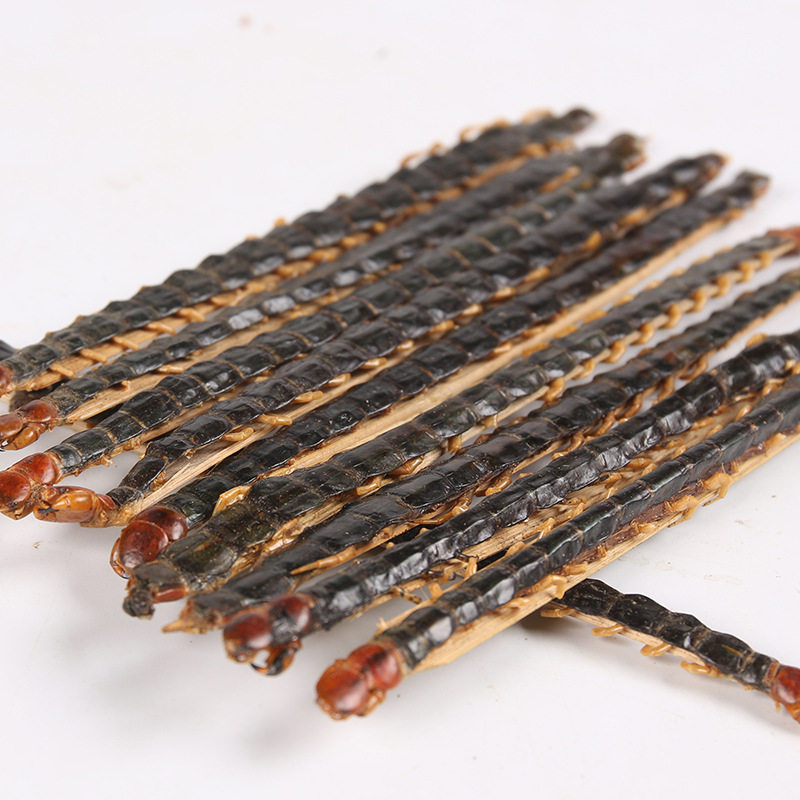 中药材蜈蚣红头野生蜈蚣干品11公分长蝎子干货大蜈蚣全虫泡酒