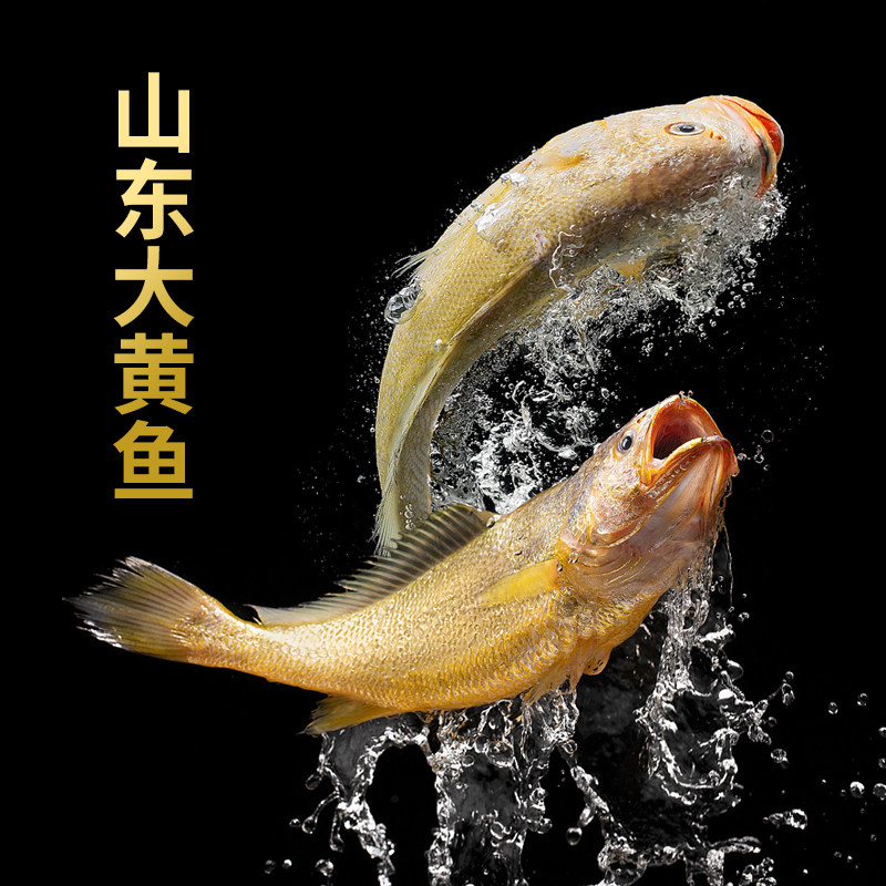 山东大黄鱼鲜活水产鱼类海鲜3斤3条装冷冷冻黄鱼