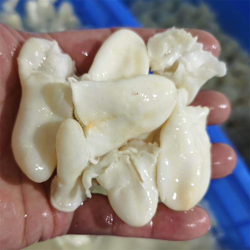 正品品包滋补品滋补孕妇女性鱼肚胶鱼水发鸡蛋花胶