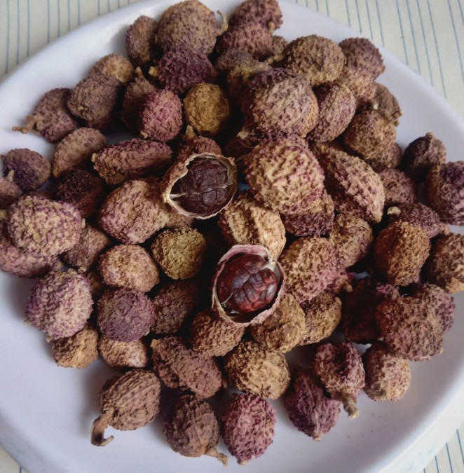 阳春正宗春砂100克无硫野生春沙仁泡蜜泡中药材砂仁