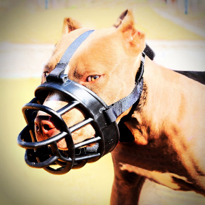 塑胶狗嘴套大型犬防叫防乱吃狗嘴笼子金毛比特家用牵引带