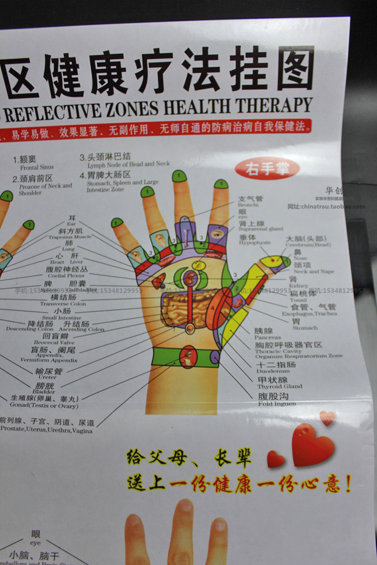 手心手背穴位按摩针灸效果教程教学图手部反射区健康疗法挂图养生