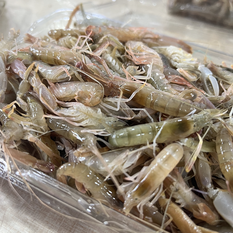 虾嘎渤海湾海鲜倒爬嘣虾狗虾花腰虾大连新鲜活活虾