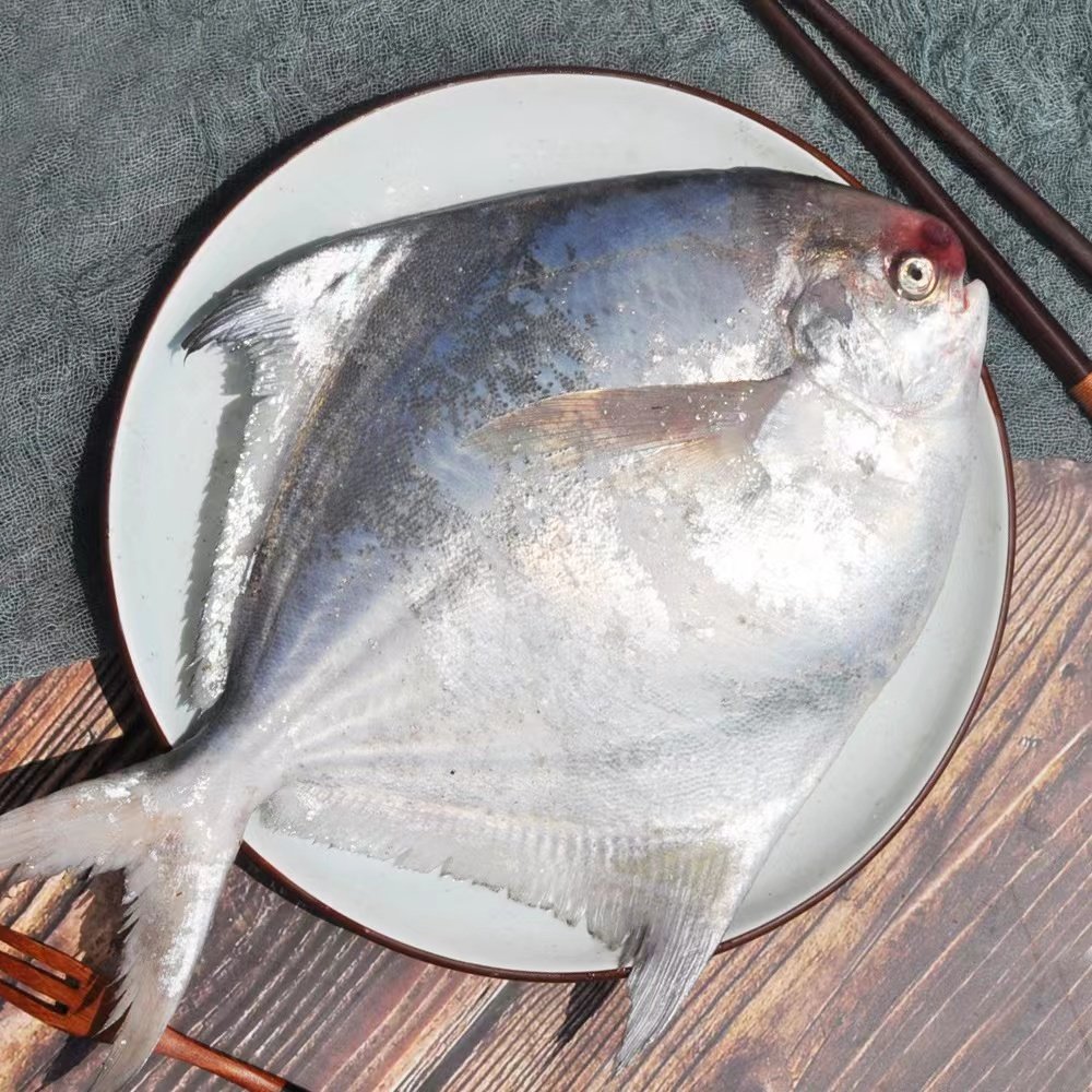 鲳鱼超大新鲜冷冻特大鳊鱼宁波舟山海鲜水产冷冻鱿鱼