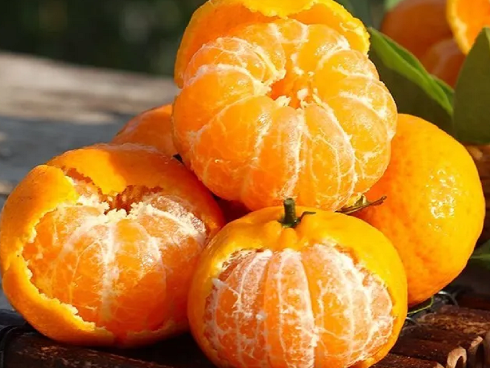 江西南丰蜜桔贡桔农产品新鲜水果孕妇酸甜清甜桔子