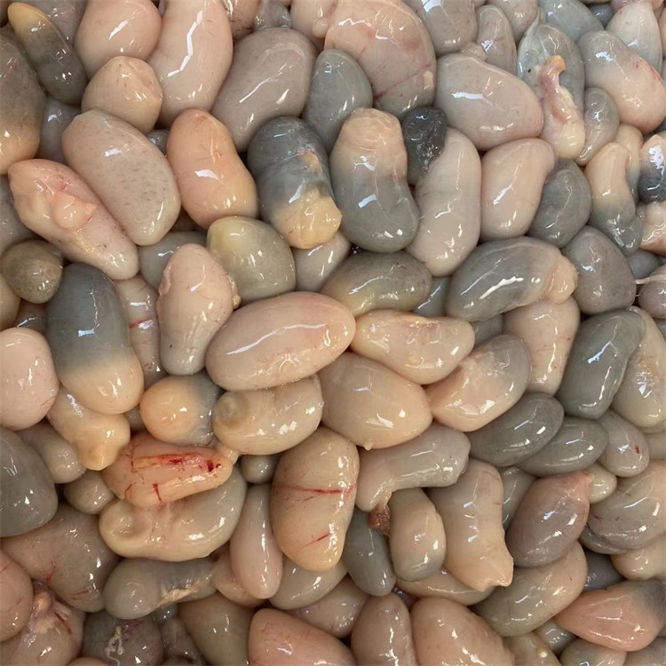 子鸡2斤新鲜乌鸡腰子肾鸡卵鸡睾丸宝鸡公鸡其它鸡肉类