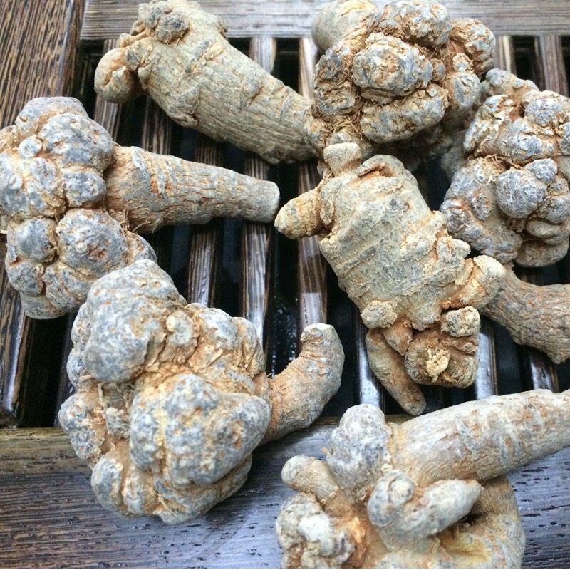 文山三七野生特级云南产地直销田七三七