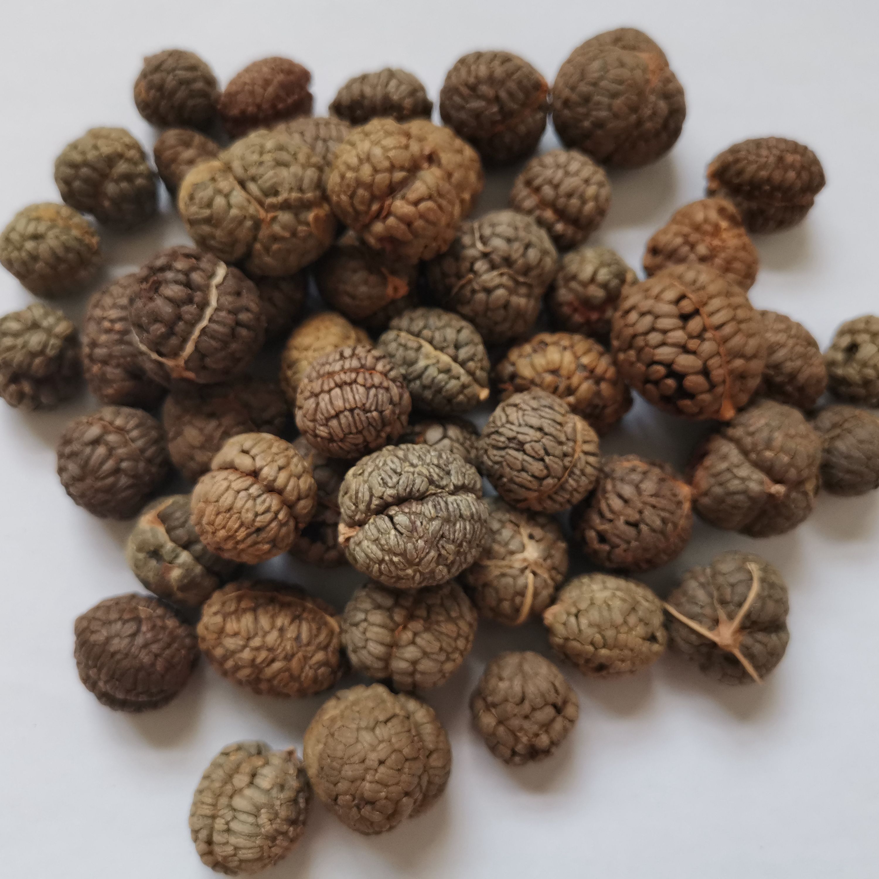 豆蔻香料草寇100g草豆老蔻飞雷调味料调料大全花椒