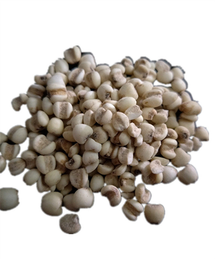 云南特产品种香糯薏仁米熬粥每份250克四份起包薏米