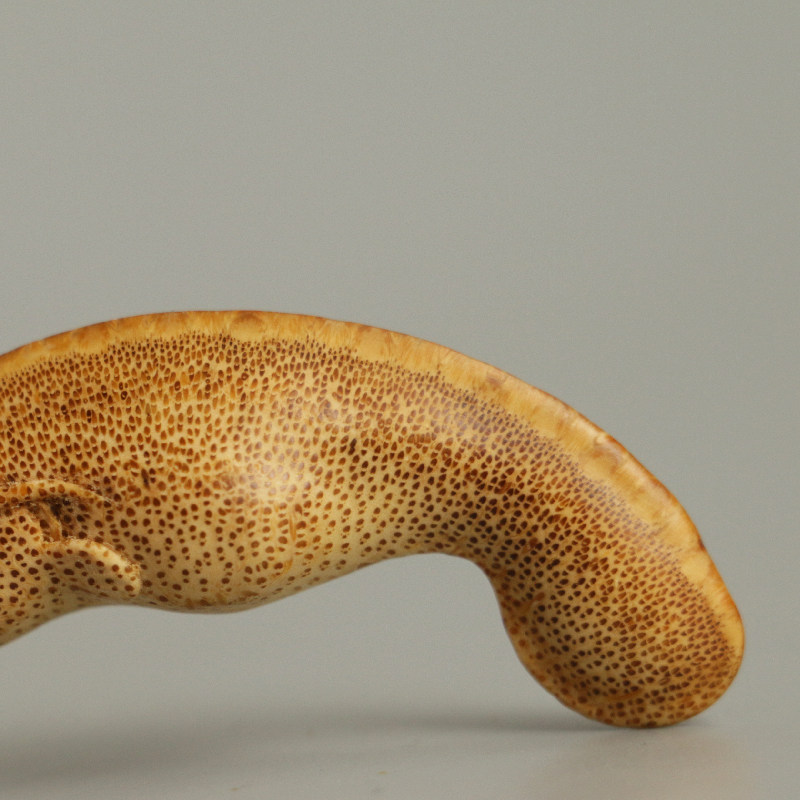 把玩手工雕刻根雕鲶鱼年年有余挂件文玩挂坠竹迹茶道