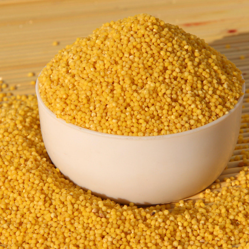 原料酸粥炒米摊黄馍馍大黄黄馍馍米饭蒸黄性稷米小米