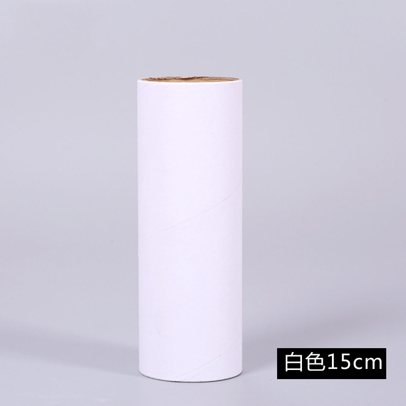 幼儿园创意手工diy制作纸筒白胚纸芯卷纸卫生纸白模填色