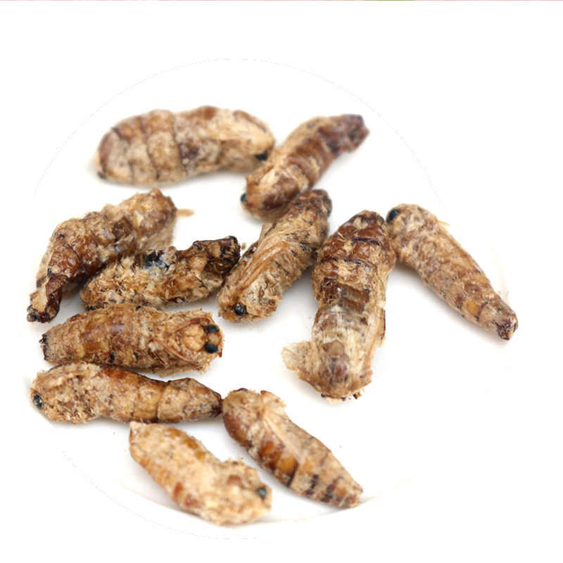 雄蚕蛾中药材雄蚕蛾粉晚蛾子未交配可泡酒500g包邮