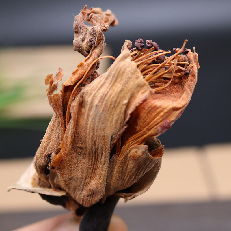 农家自晒木棉花野生正品500g包邮 无硫新花 中药材木棉花干攀枝花