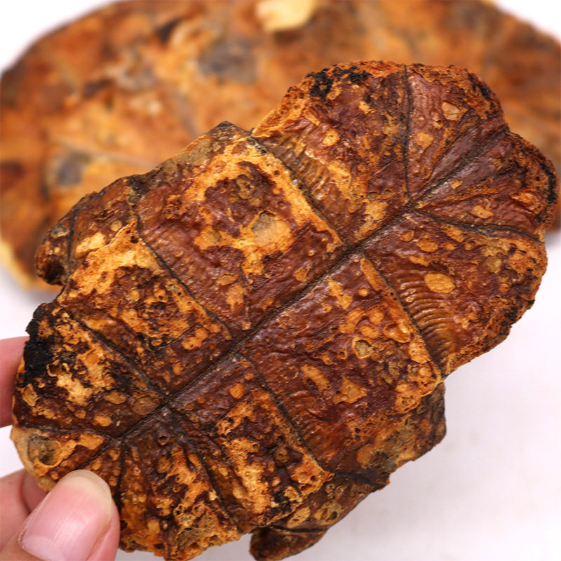 龟板中药材醋炙整块醋制粉下养殖500g包邮免费其他药食同源食品