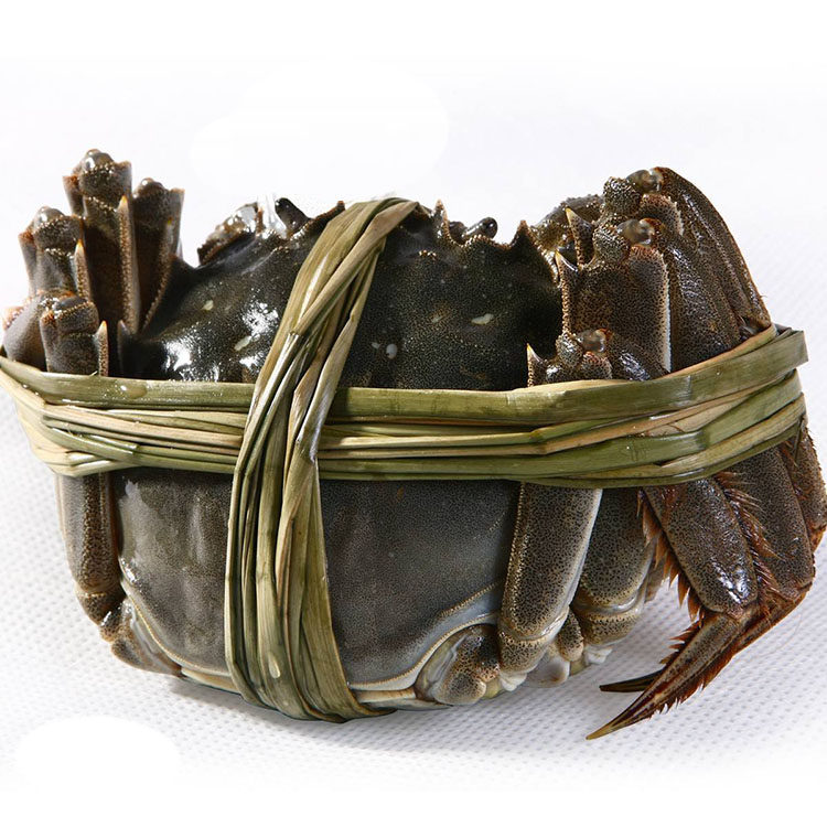 大闸蟹螃蟹鲜活【温州现货】10只新鲜澄湖太湖公母3.0-2.