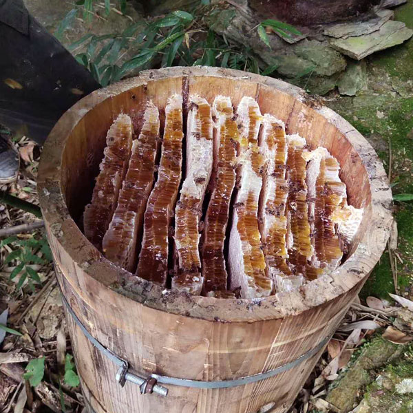野生土蜂蜜药蜜纯正品天然神农架深山农家自产一斤百花结晶岩蜂蜜