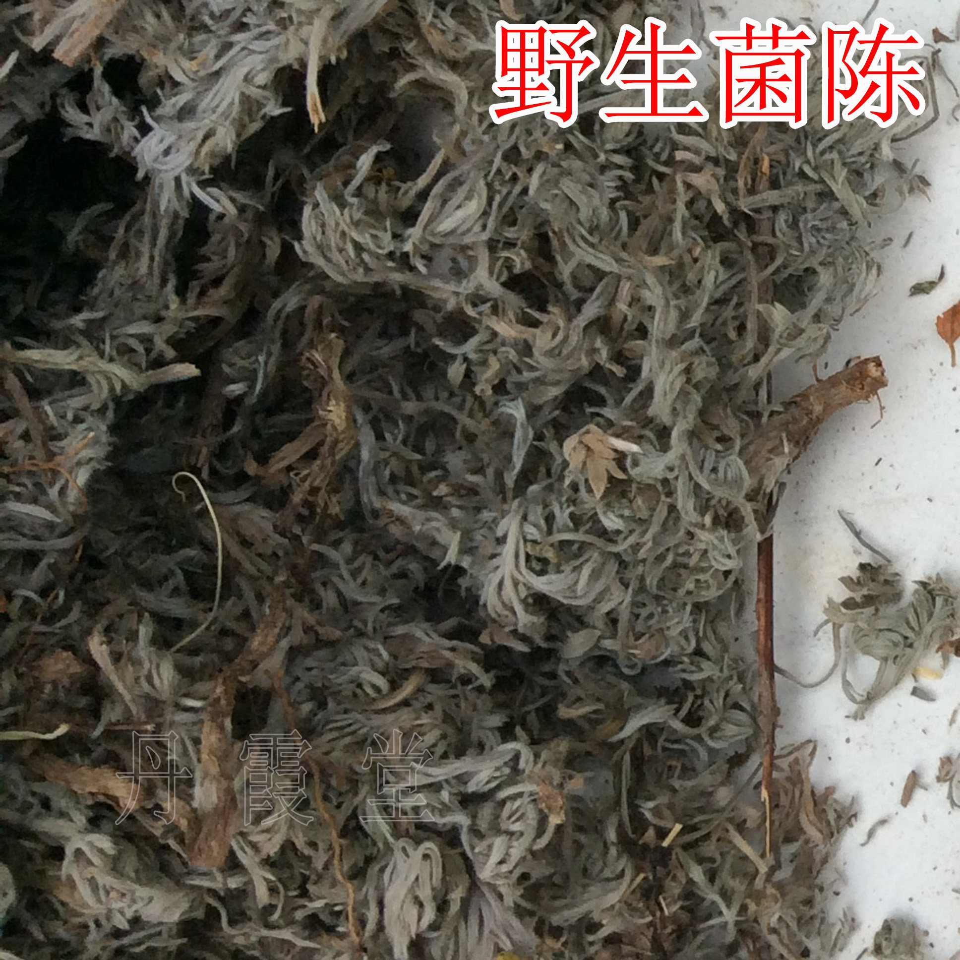 黄胆野生菌陈茵陈篙绵陈清湿热超标中药材中草药泡澡药包