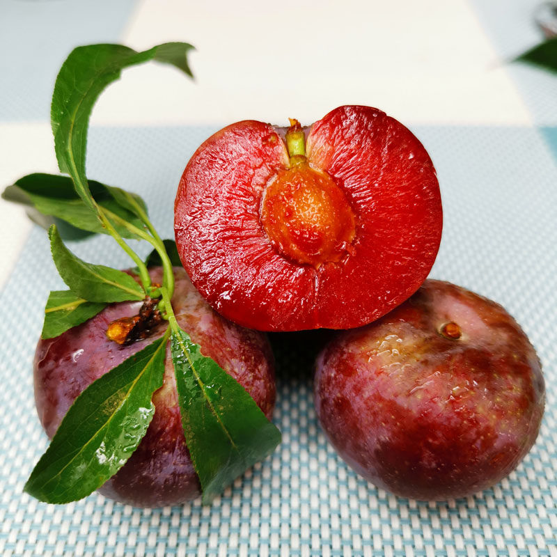 三华芙蓉李芙蓉红心李红心钱排现货信宜现摘水果李子