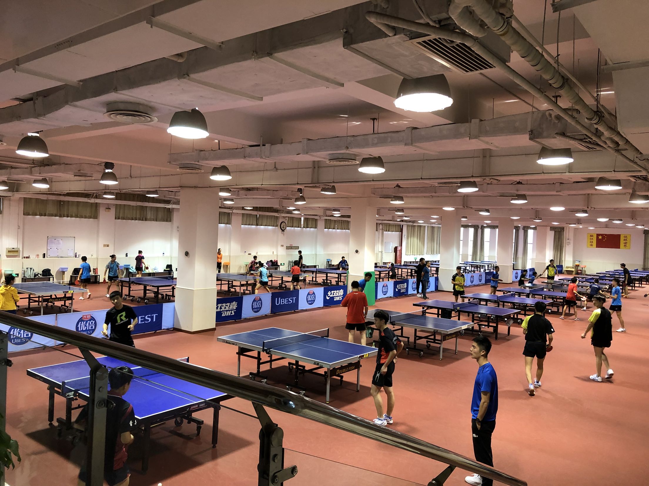 clcr宸南乒乓斯帝卡stiga斯蒂纯木clwrb乒乓底板