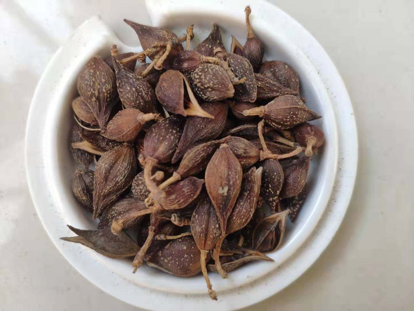 连翘 老翘 青翘 泡水 泡脚 正品 中药材 连翘中药500g克野生