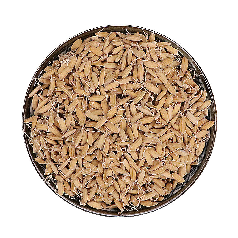 稻芽天然纯新新货中药材500克生稻另有有生麦芽其他药食同源食品