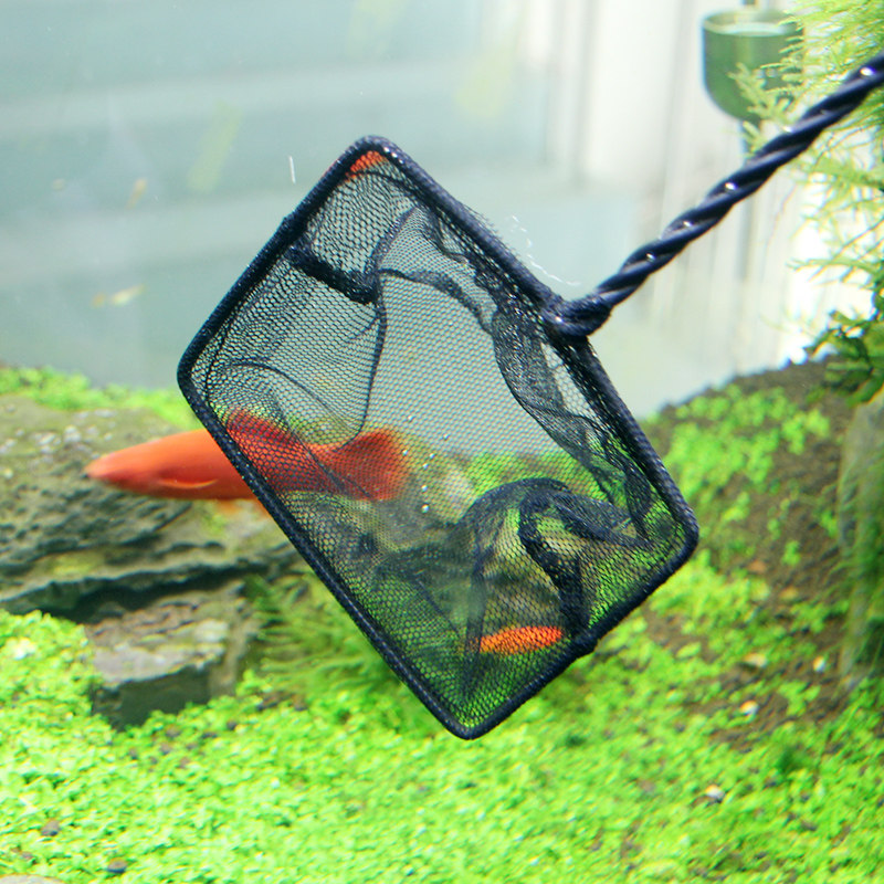 鱼缸小鱼网鱼捞网鱼网兜手抄鱼网金鱼观赏鱼伸缩渔捞鱼细眼大号
