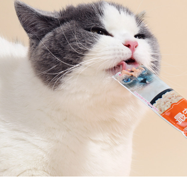 paddytime most pet cat snack bar cat kitty kitten hair nutrition bars gills wet cat food to fatten 10g12 support paddytime most pet cat snack bar cat kitty kitten hair nutrition bars gills wet cat food to fatten 10g12 support