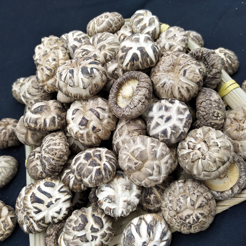 花菇精选出口白花菇珍珠小花500g野生干花散装香菇类