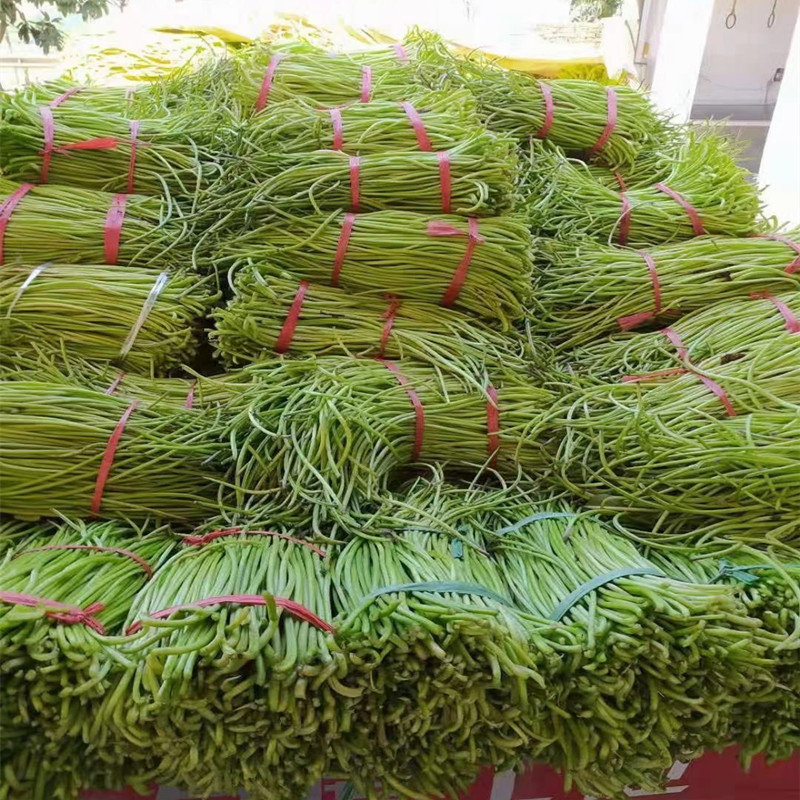 地瓜红薯东北梗干藤杆新货瓜秧农产品特产干菜其它干货