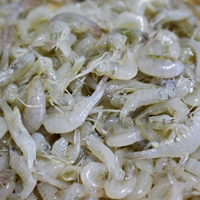 【不辣】少年渔夫巢湖白虾米酱鲜白虾去头虾尾手工熬制超下饭