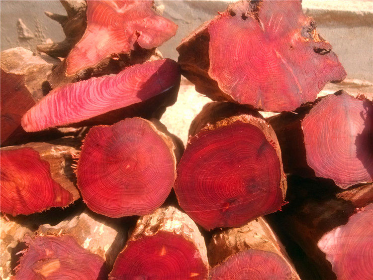 血柏手佛珠毛料手把件香红柏陈化料造型摆件随型根雕