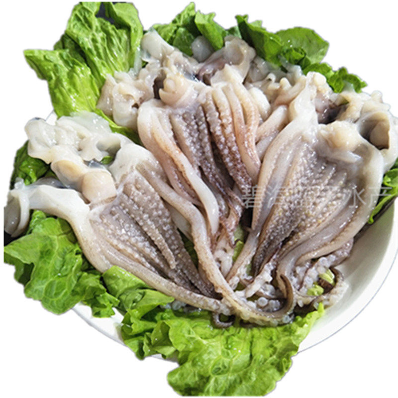 鱿鱼冷冻开片鱼头5斤去眼去牙新鲜铁板海鲜冷冻鱿鱼