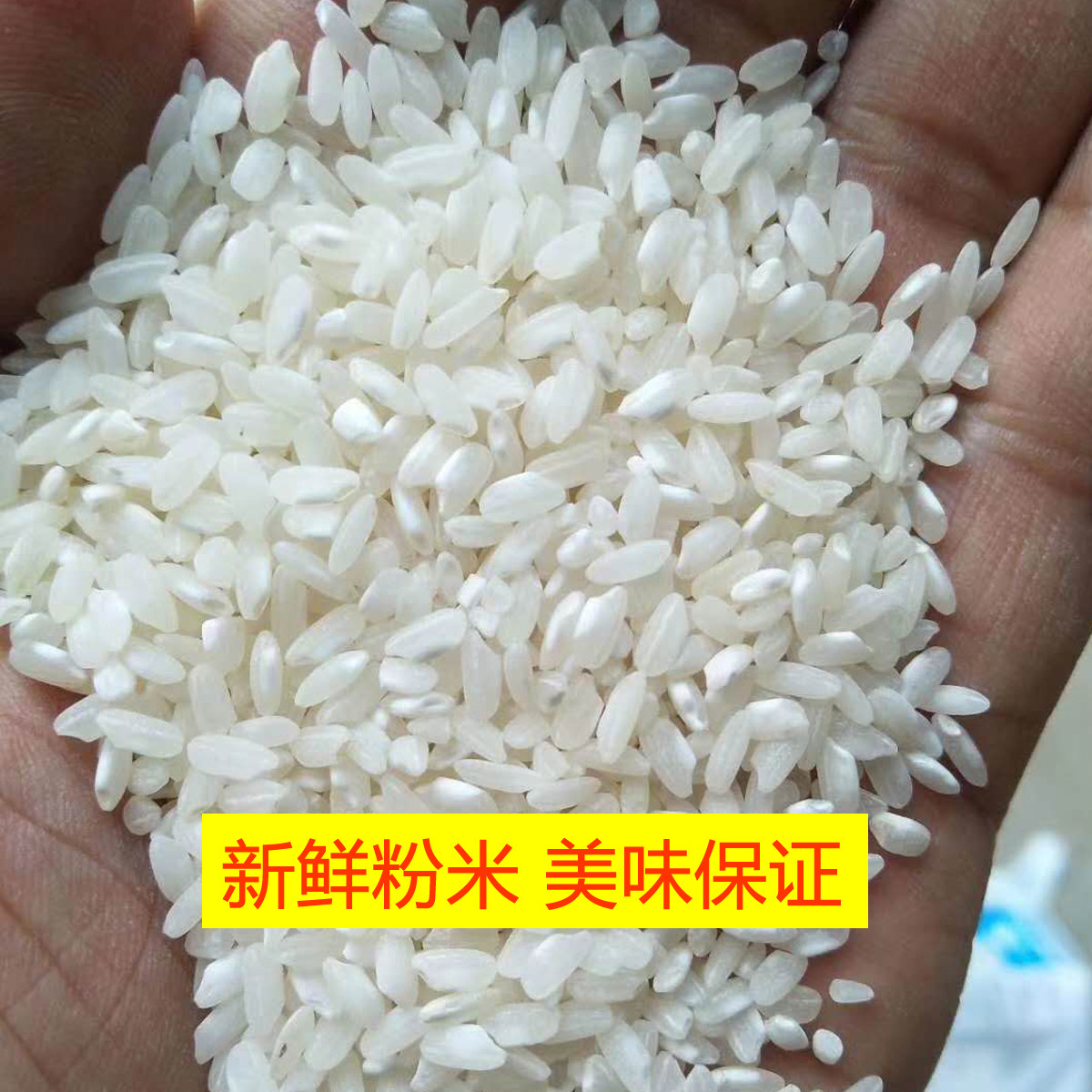 广东肠粉专用大米圆粒陈米河粉米线米皮豆腐大米