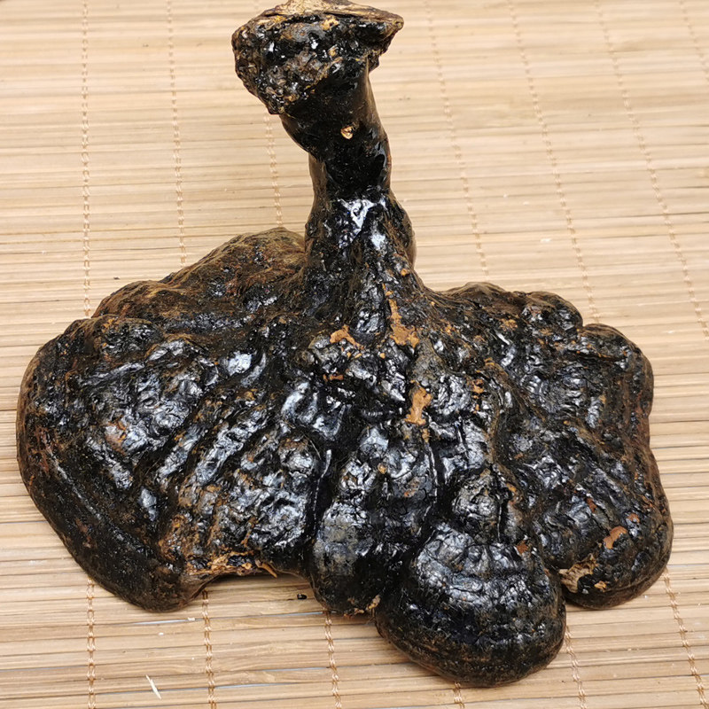 灵芝精选野生反柄背柄紫芝整枝干货药材泡酒整枝灵芝