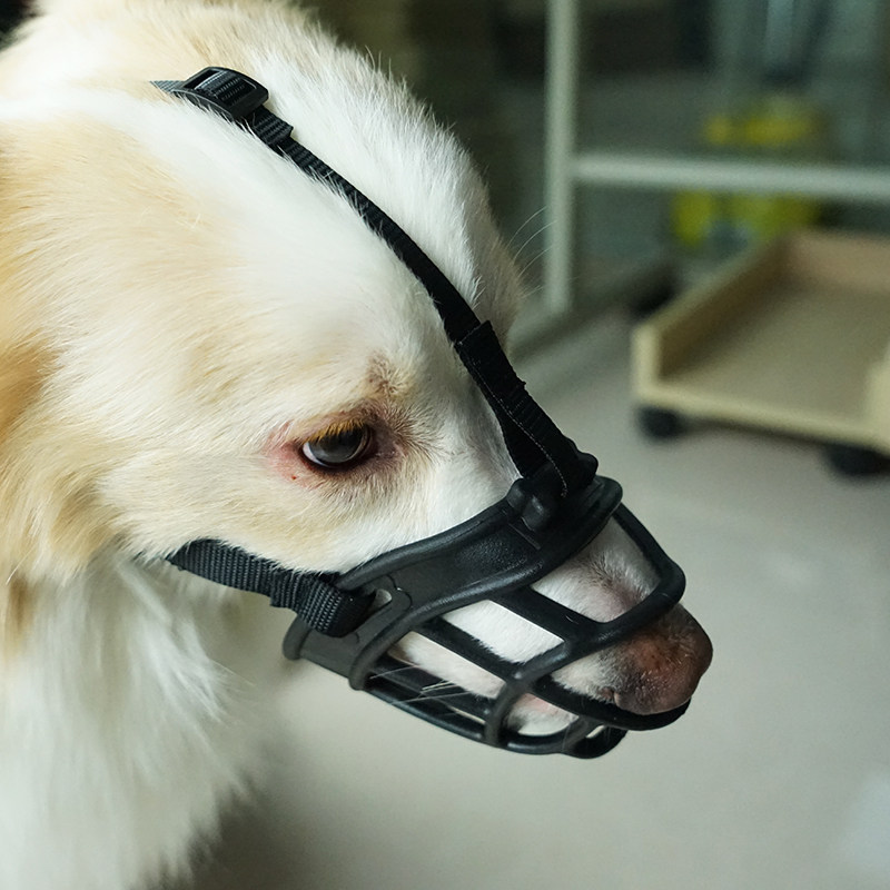 狗狗透气嘴套防掉防咬人防乱吃嘴罩喝水口罩嘴套