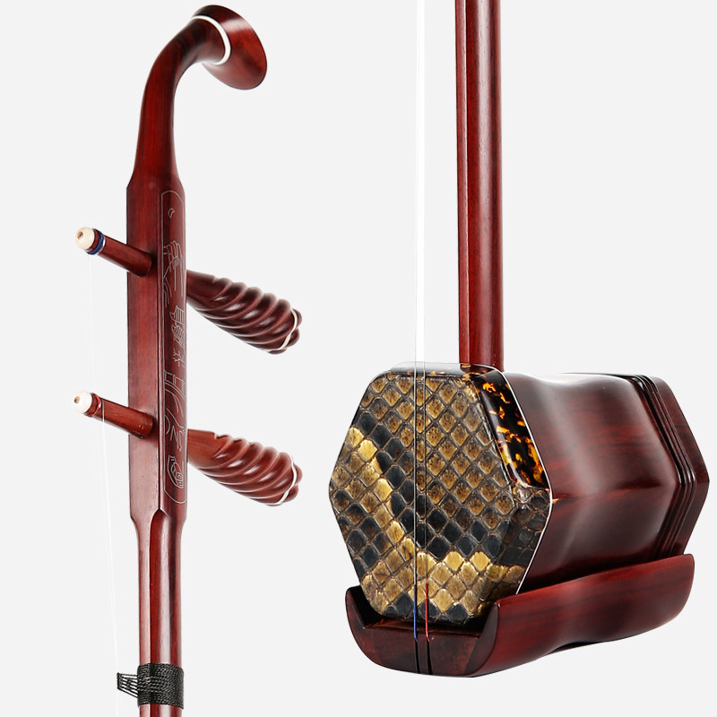 分享收藏进店购买盛乐乐器旗舰店去领券购买使用期限:2022-05-31 23