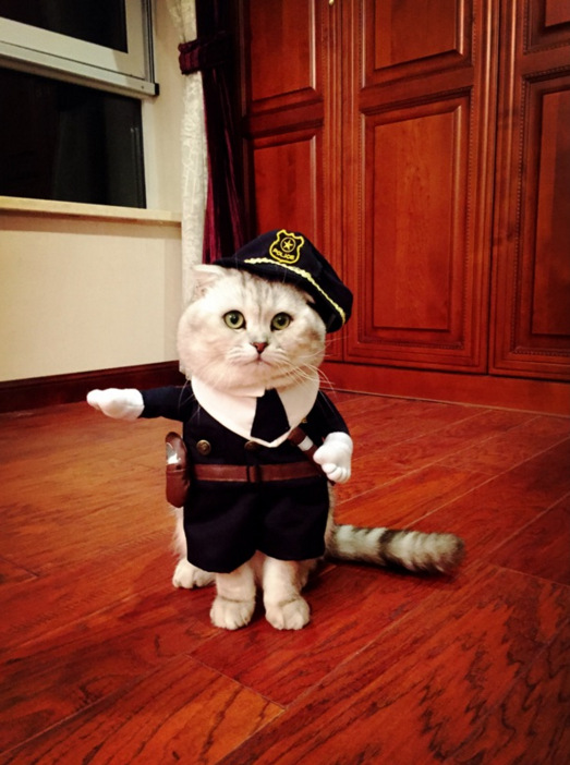 包邮宠物狗狗变身装 警长搞笑衣服 猫咪警察变身装狗狗搞怪变身装