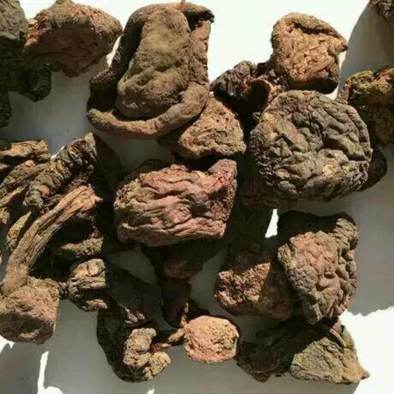 宁夏贺兰山野生紫蘑菇500克贺蘑香菇干货食用菌香菇类
