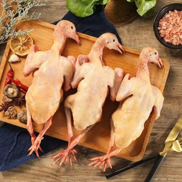 鸽子特惠正宗农家散养乳鸽当天现杀新鲜孕妇乳鸽