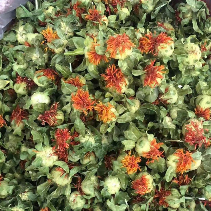 野生西域藏红花成朵草红花果养生花茶菠萝天然藏红花