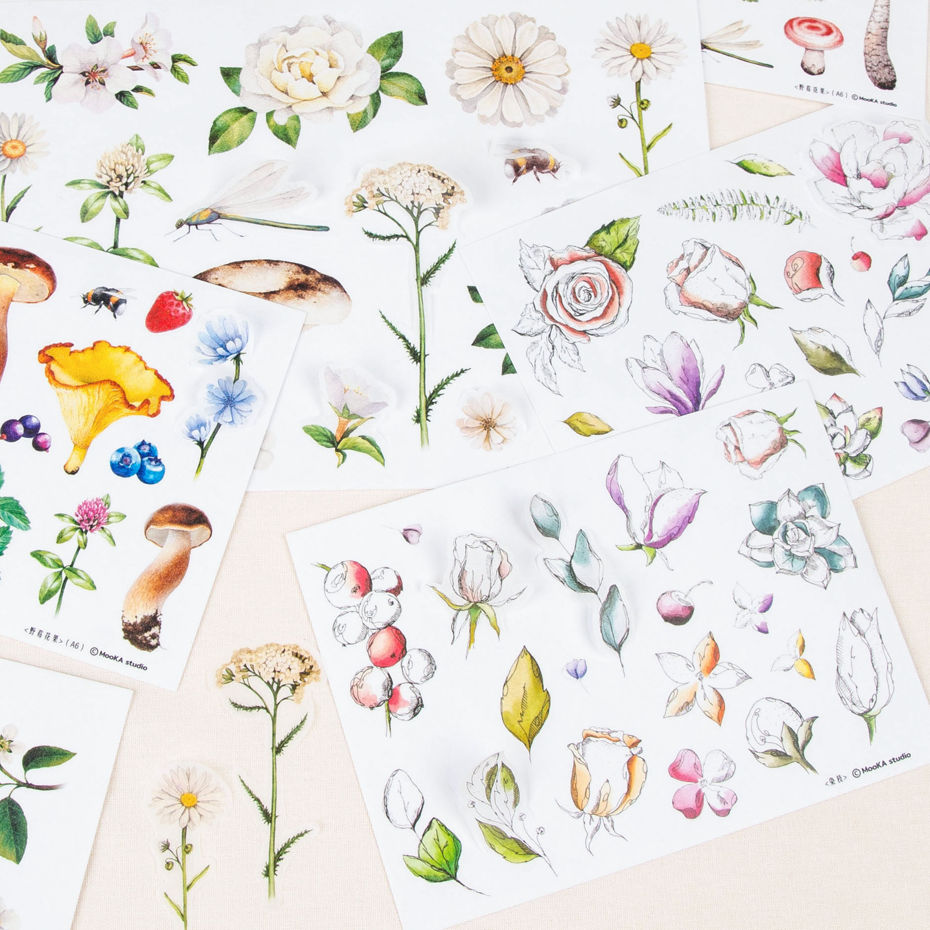 贴纸植物野梅mookastudio原创手帐素材小雏菊贴纸