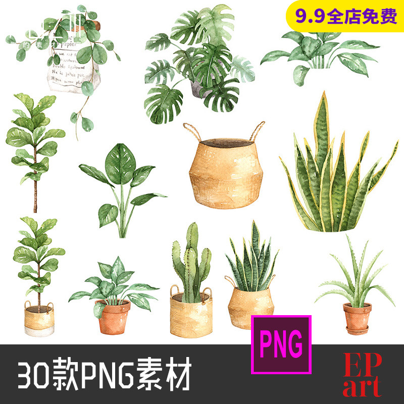 室内植物绿萝花盆吊兰盆栽手账手绘水彩高清设计素材